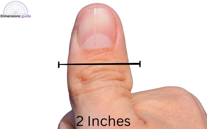 how long is 2 inches
