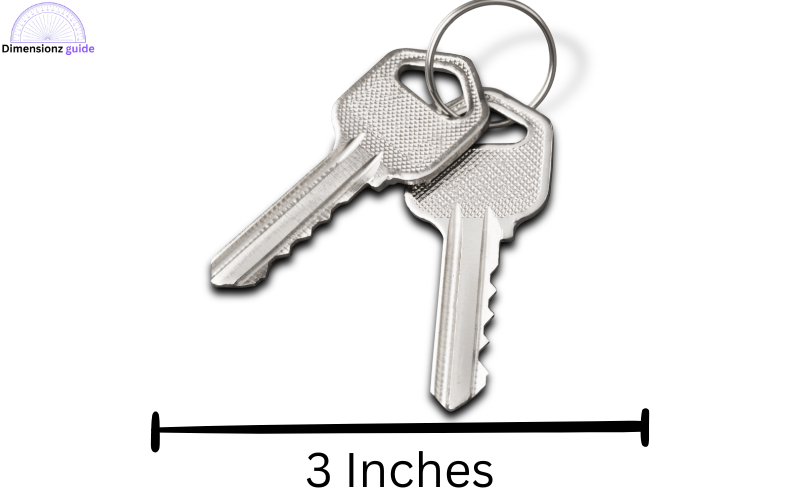 how long is 3 inches