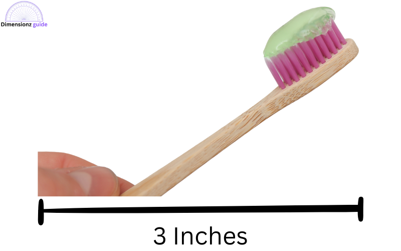 how long is 3 inches