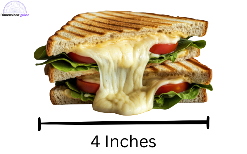 how long is 4 inches