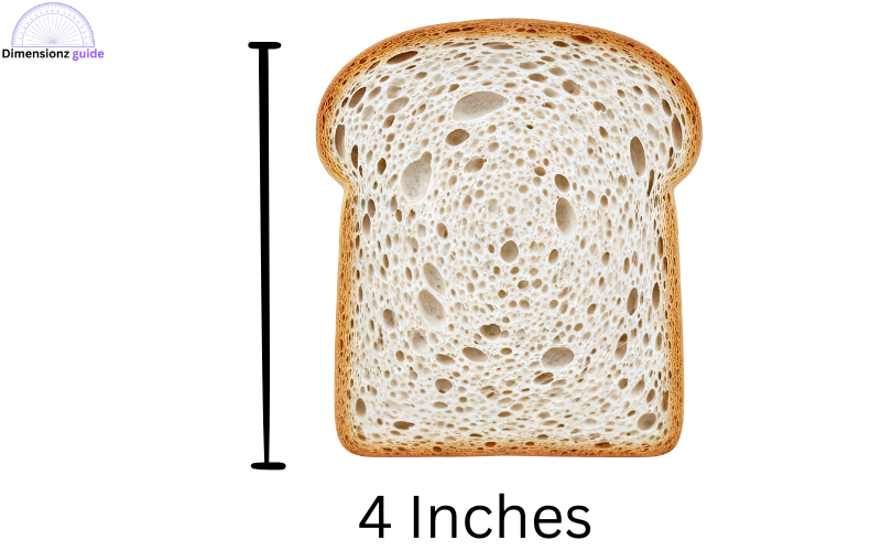 how long is 4 inches 