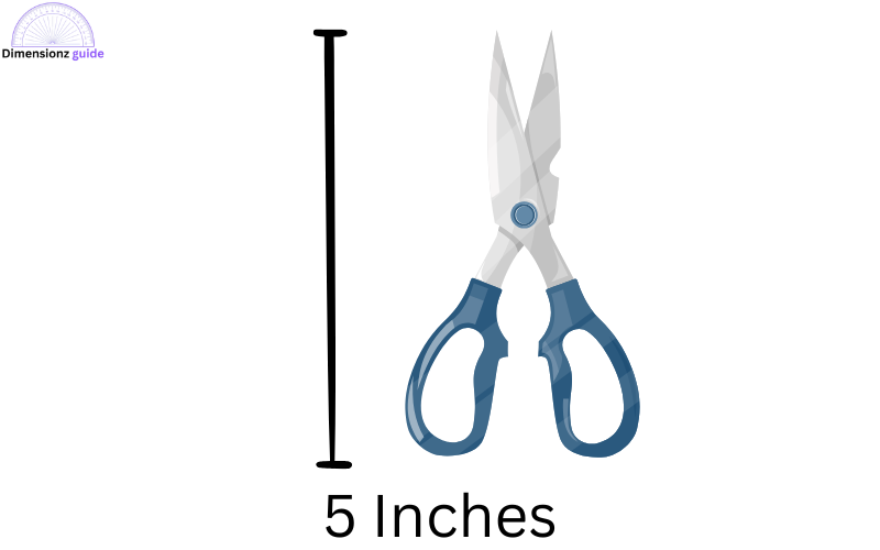 how long is 5 inches