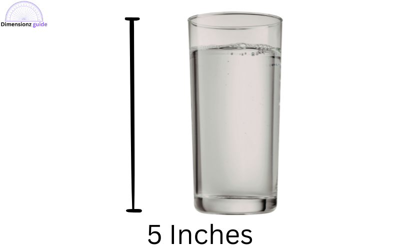 how long is 5 inches