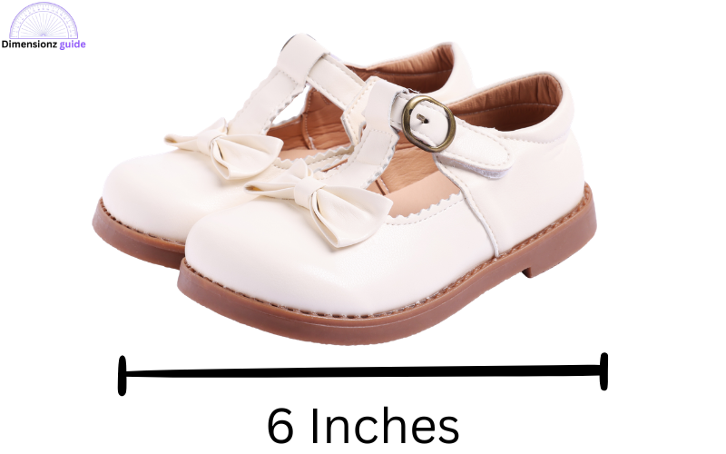 how long is 6 inches