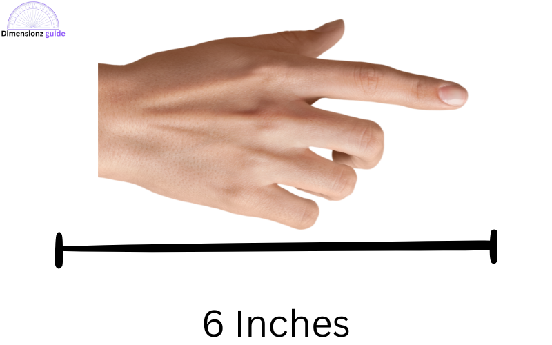 how long is 6 inches