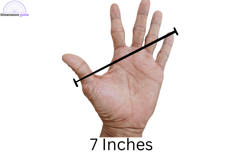 how long is 7 inches