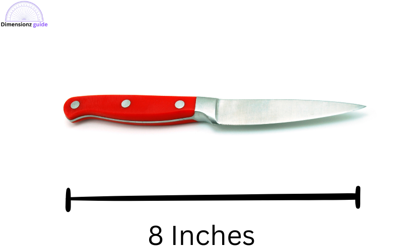 how long is 8 inches