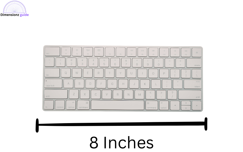 how long is 8 inches
