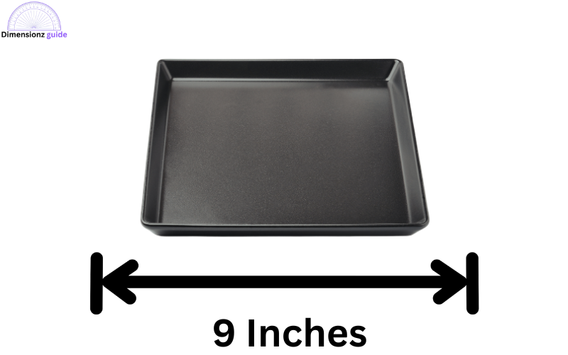 how long is 9 inches