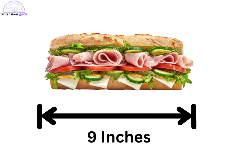 how long is 9 inches