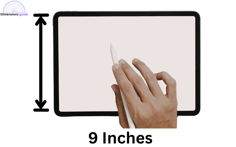 how long is 9 inches