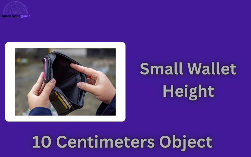 how big is 10 cm