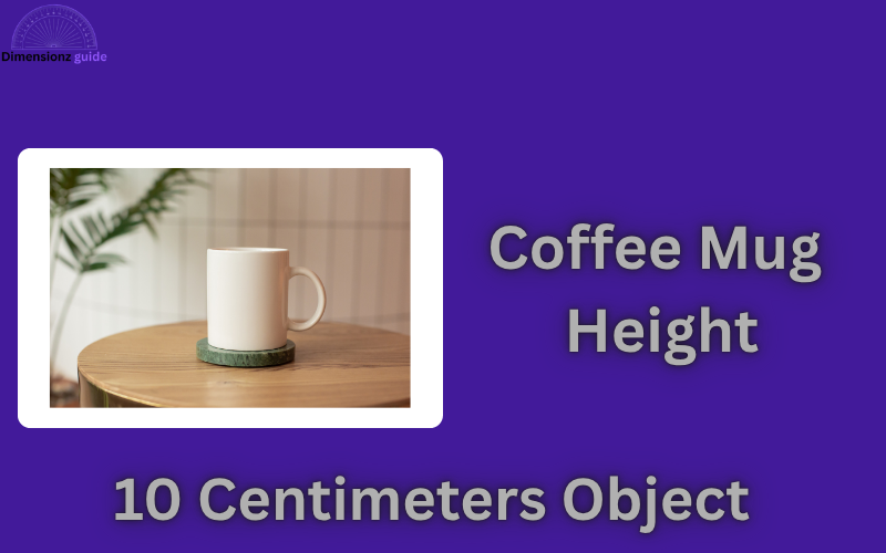 how big is 10 cm