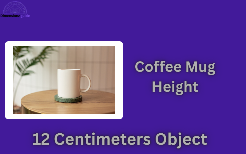 how big is 12 cm