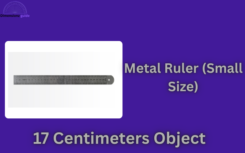 how big is 17 cm