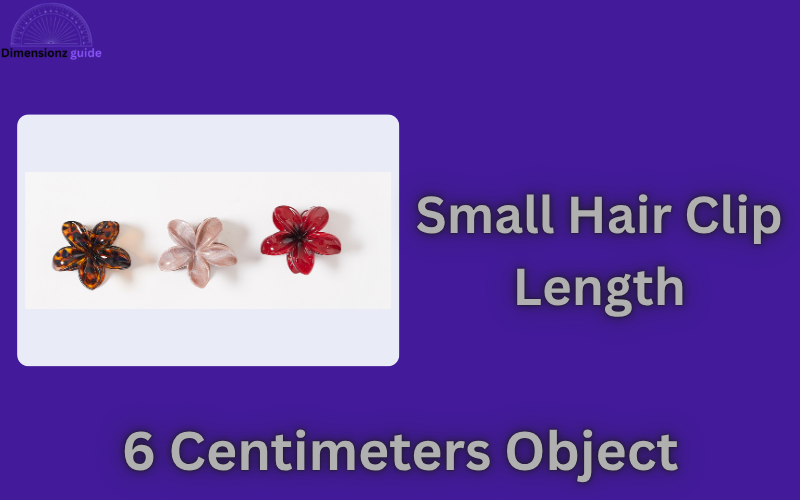 how big is 6 cm