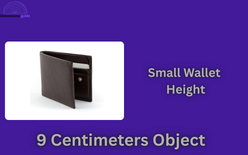 how big is 9 cm