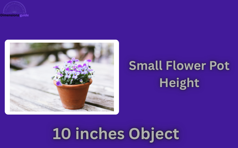 how long is 10 inches