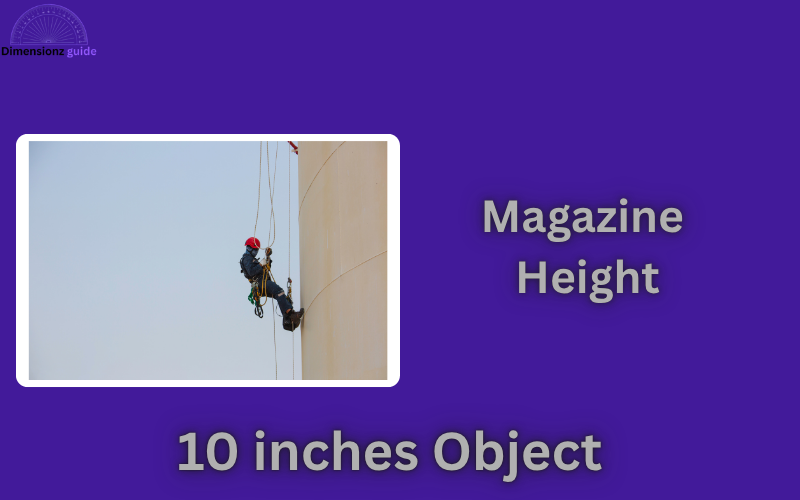 how long is 10 inches