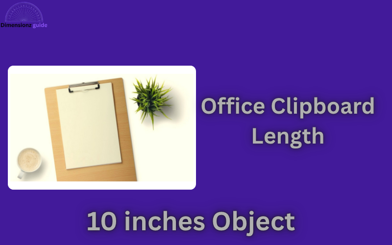 how long is 10 inches