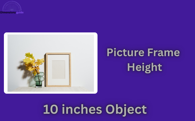 how long is 10 inches