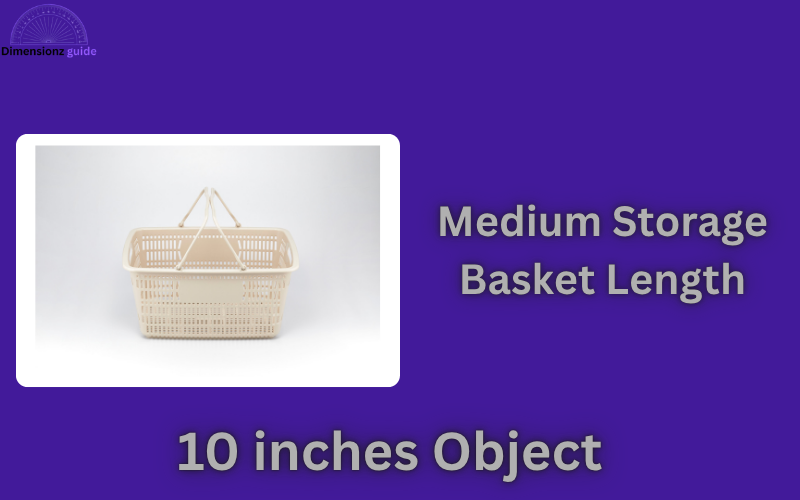 how long is 10 inches
