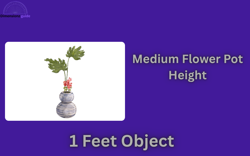 how long is 1 feet