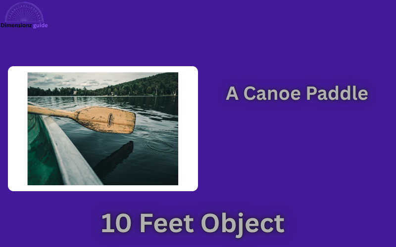 how long is 10 feet