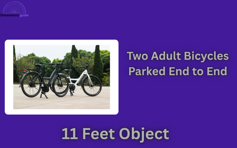 how long is 11 feet