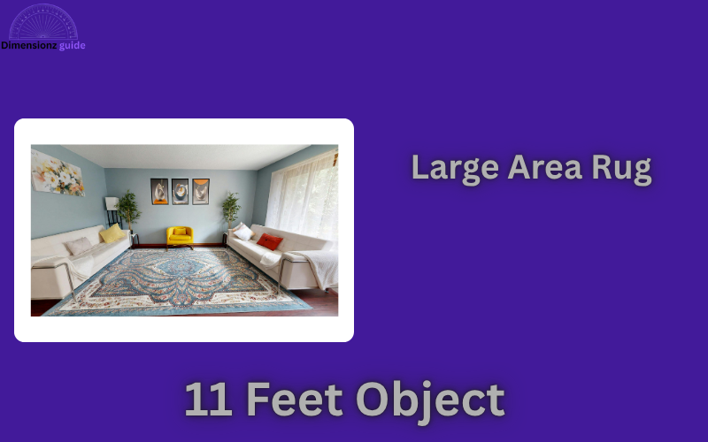 how long is 11 feet