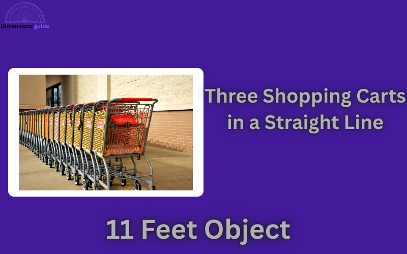 how long is 11 feet