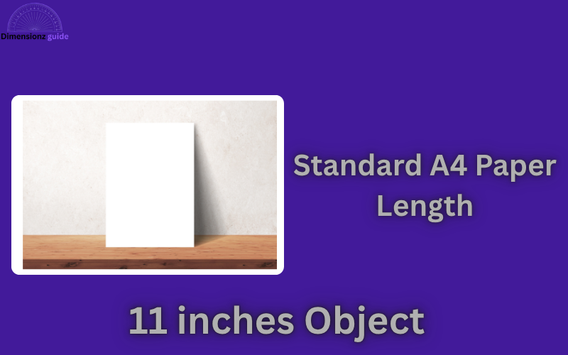how long is 11 inches