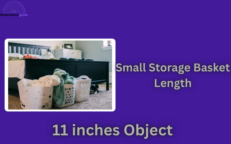 how long is 11 inches