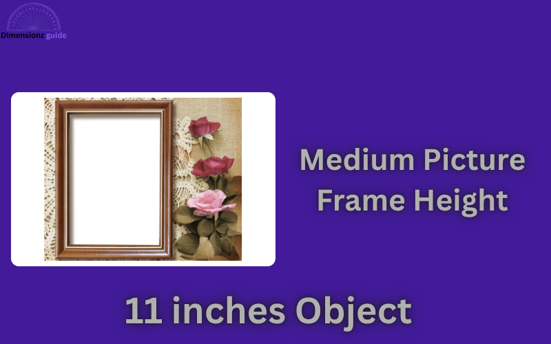 how long is 11 inches