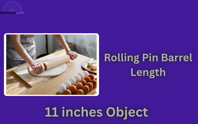how long is 11 inches