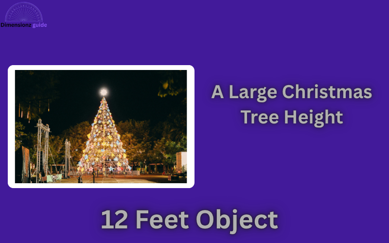 how long is 12 feet