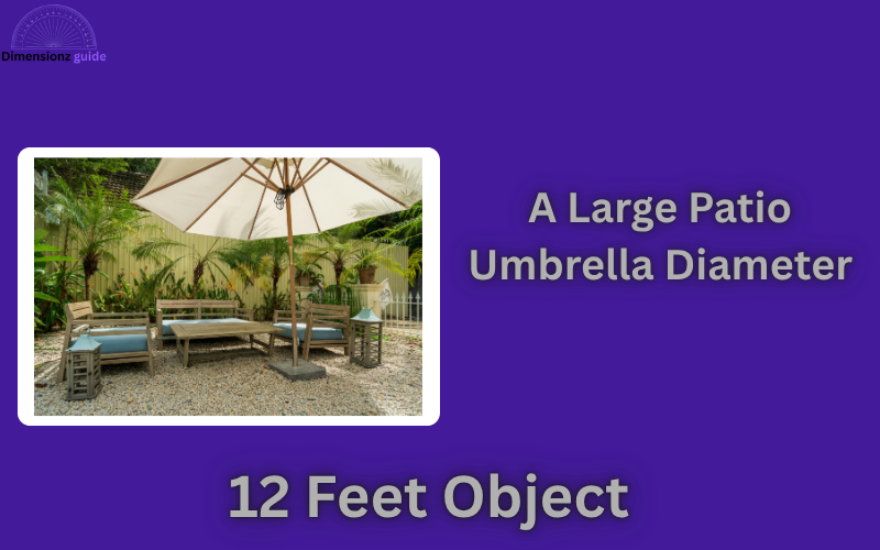 how long is 12 feet