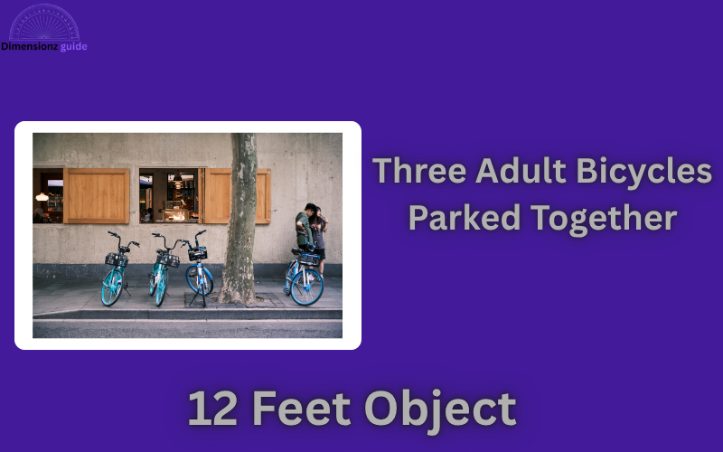how long is 12 feet