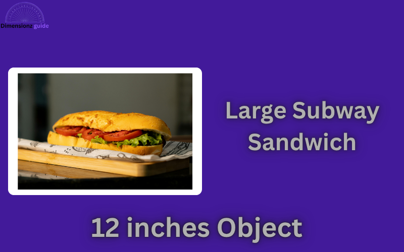 how long is 12 inches