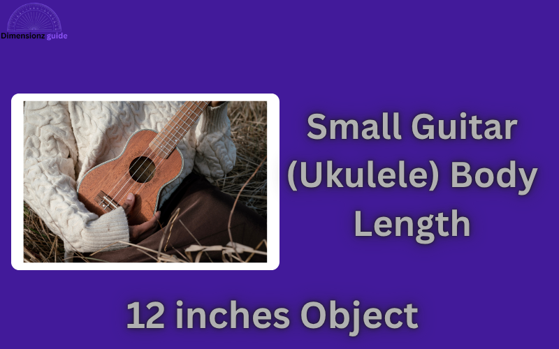 how long is 12 inches