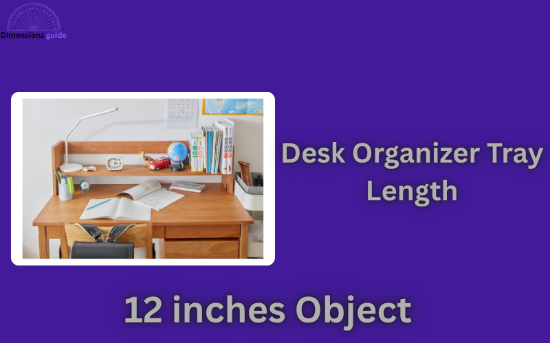 how long is 12 inches