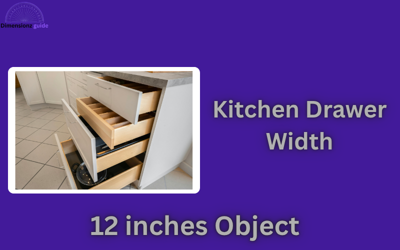 how long is 12 inches