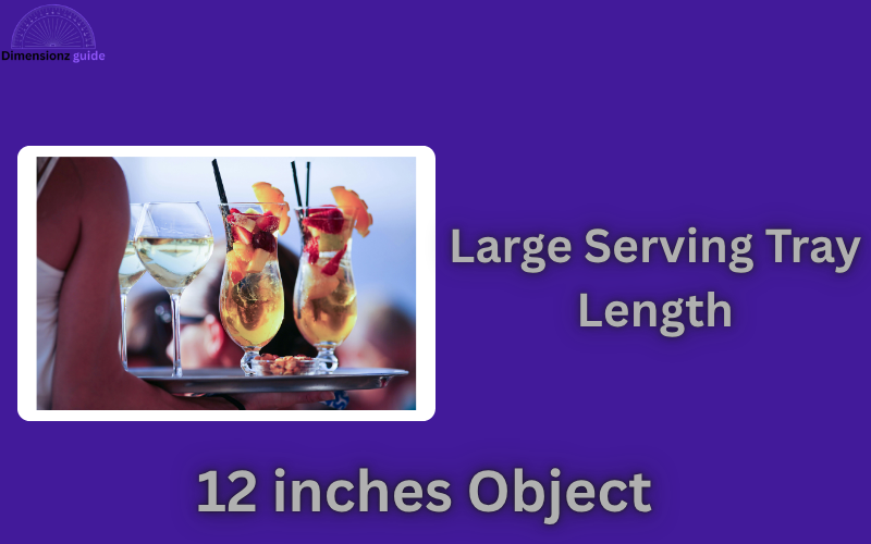 how long is 12 inches
