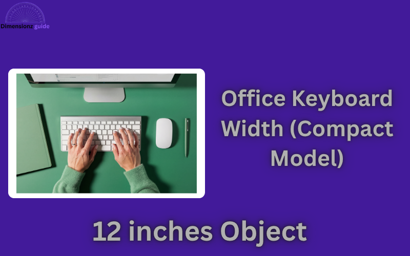 how long is 12 inches
