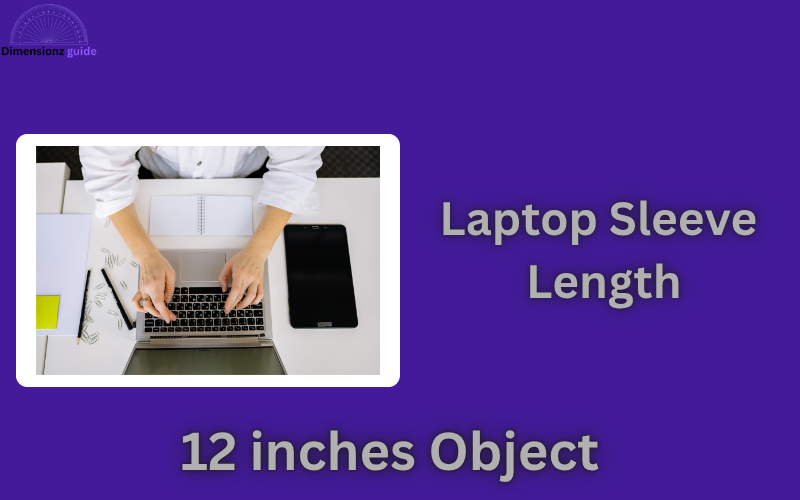 how long is 12 inches