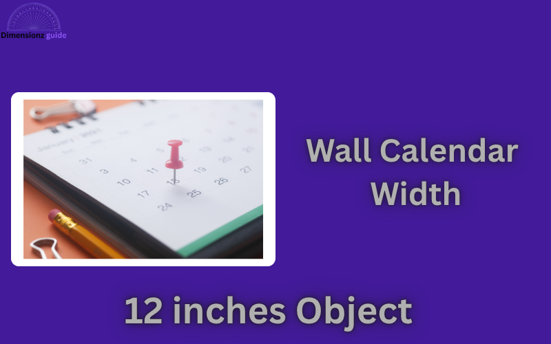 how long is 12 inches