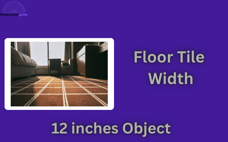 how long is 12 inches