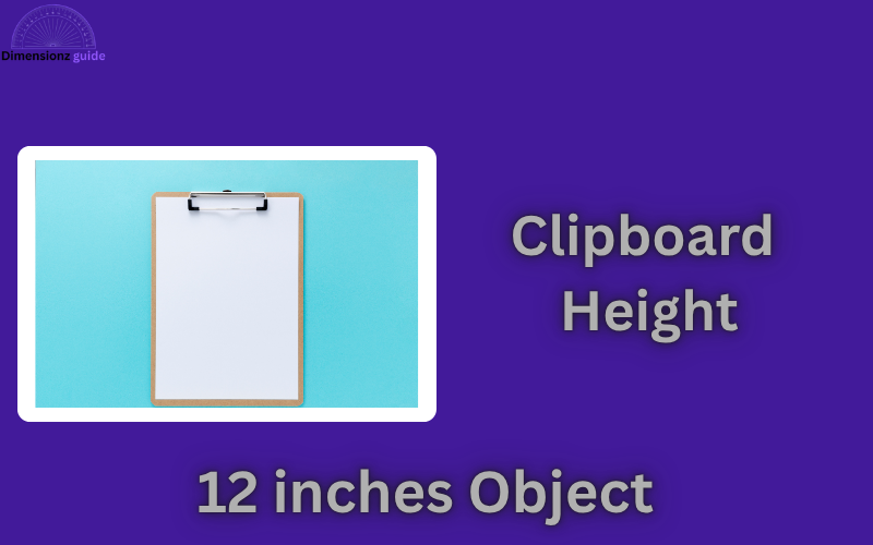 how long is 12 inches