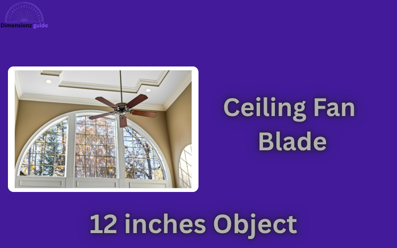 how long is 12 inches
