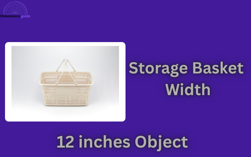 how long is 12 inches